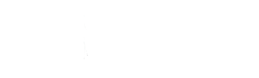 Logo Terra Ignota Actualitzat Blanc